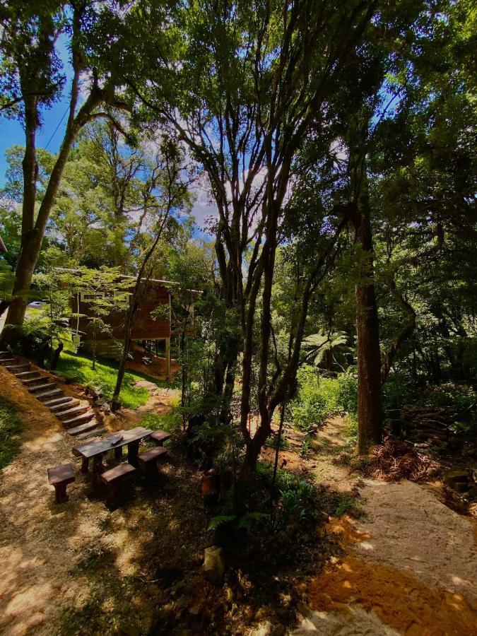 Villa Cabana Vivenda à São Francisco de Paula Extérieur photo