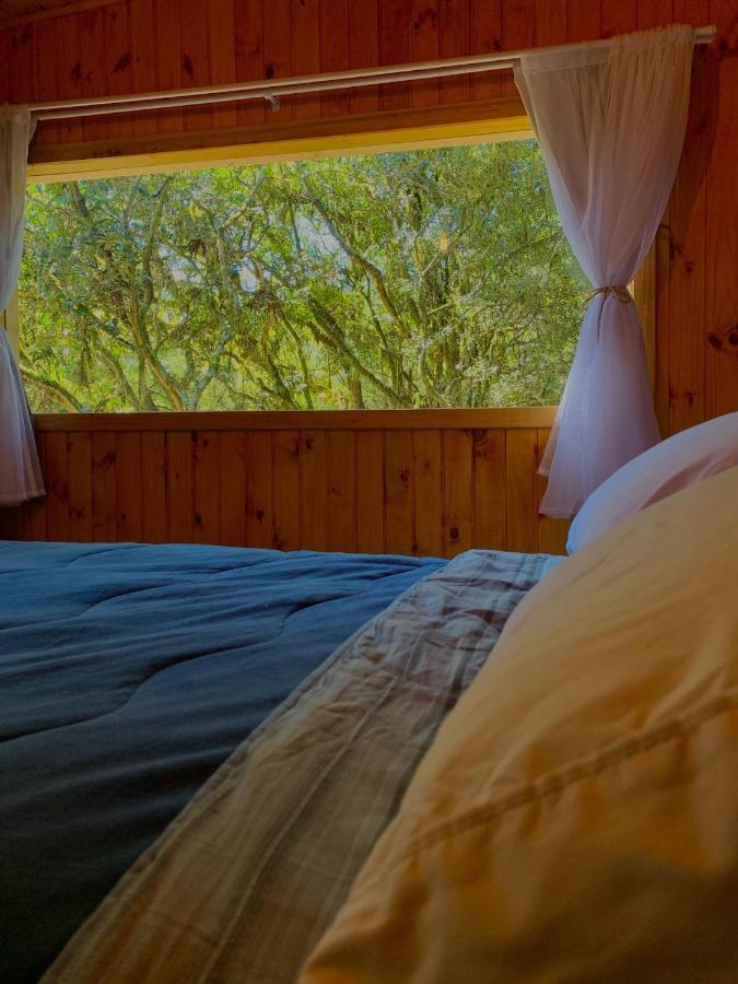 Villa Cabana Vivenda à São Francisco de Paula Extérieur photo