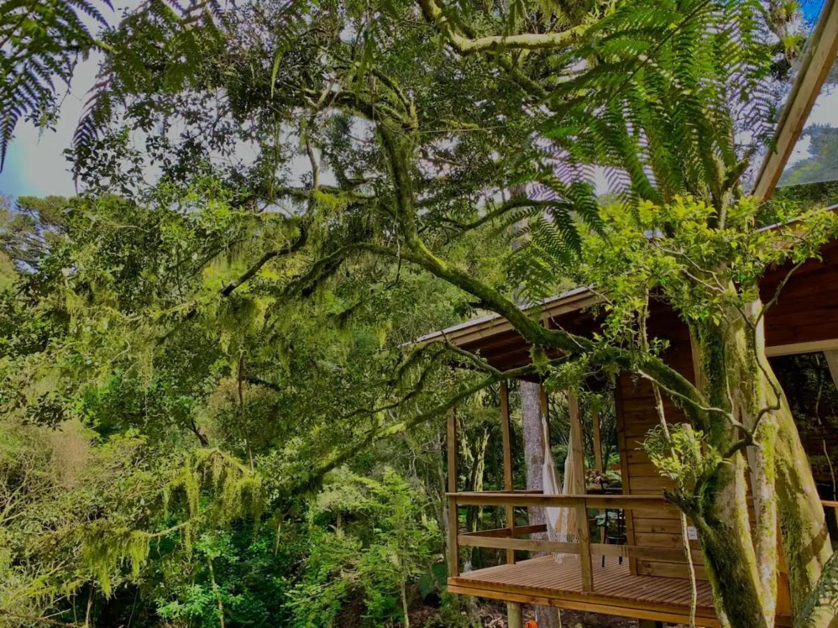 Villa Cabana Vivenda à São Francisco de Paula Extérieur photo