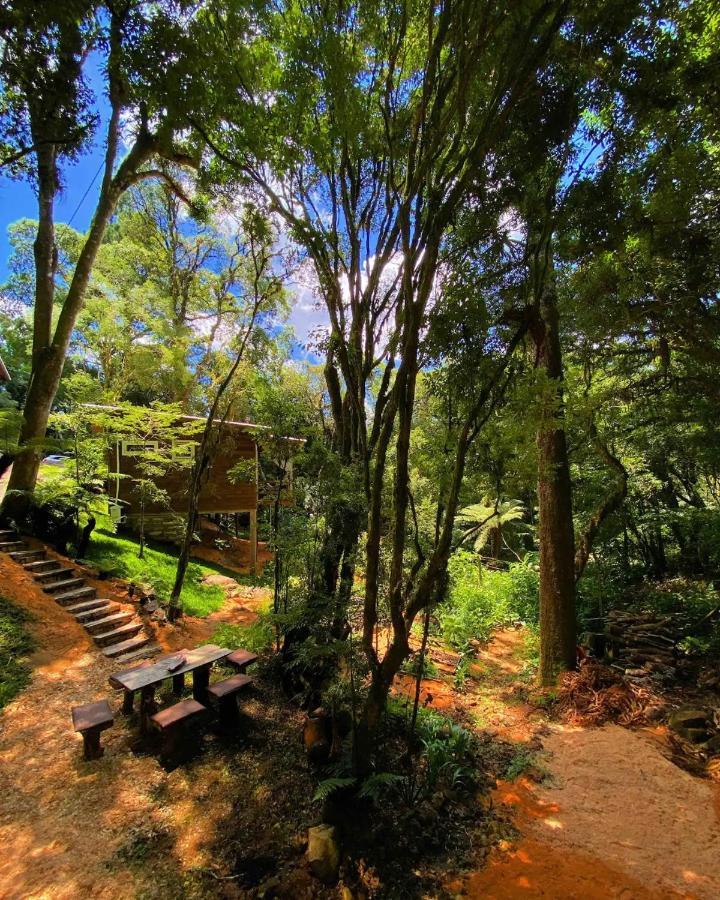 Villa Cabana Vivenda à São Francisco de Paula Extérieur photo